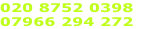 020 8752 0398
07966 294 272
